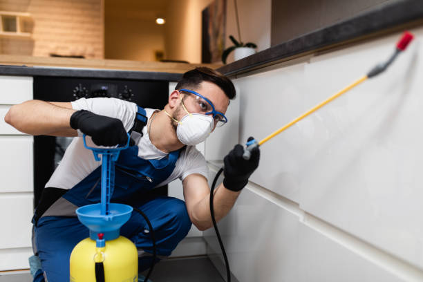 Best Rat Extermination Near Me  in New Baltimore, OH