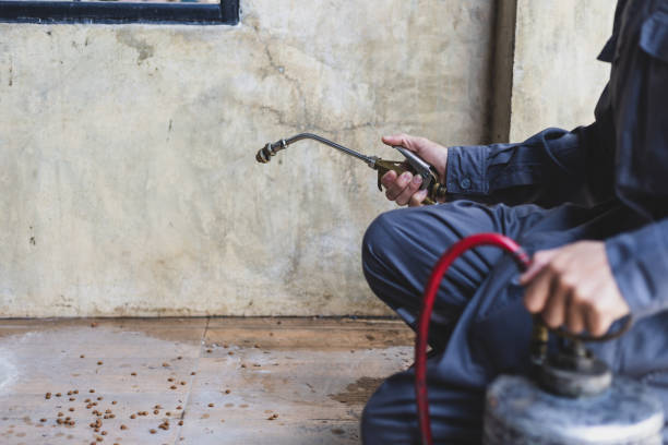 Best Best Pest Control Companies  in New Baltimore, OH