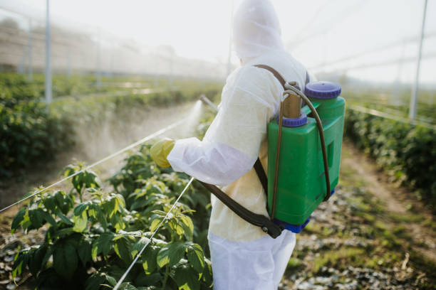 Best Pest Control Near Me  in New Baltimore, OH